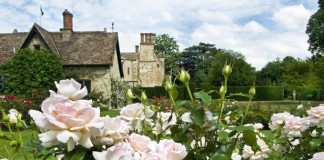 ‘Soham Rose’ in the Rose Garden at Anglesey Abbey, Cambridgeshire. Credit: NTPL/Brian & Nina Chapple