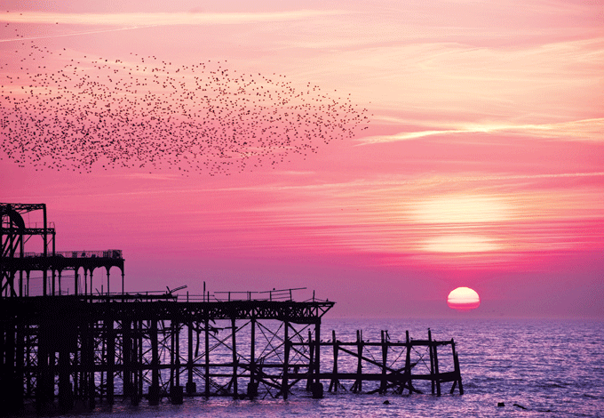 Brighton West Pier. Credit: Michael Howell/Alamy