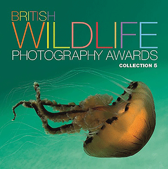 British-Wildlife-Awards-2014