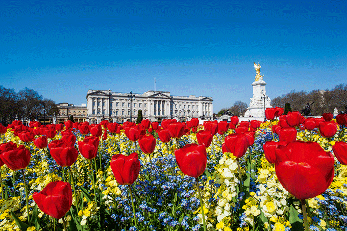 Buckingham Palace. Credit: Steve Vidler/Corbis