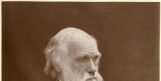 Charles Darwin/public domain/Wikipedia