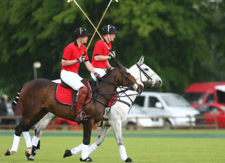 Princes William and Harry are both keen polo payers, seen here at Cirencester Polo Club in Gloucestershire