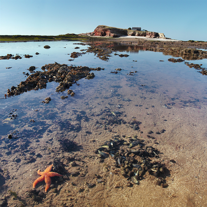 Hilbre Islands, The Wirral. Courtesy of Visit Wirral