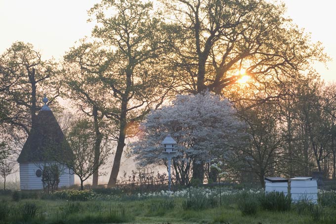 In-the-Orchard-at-dawn,-Sissinghurst-©National-Trust-Images