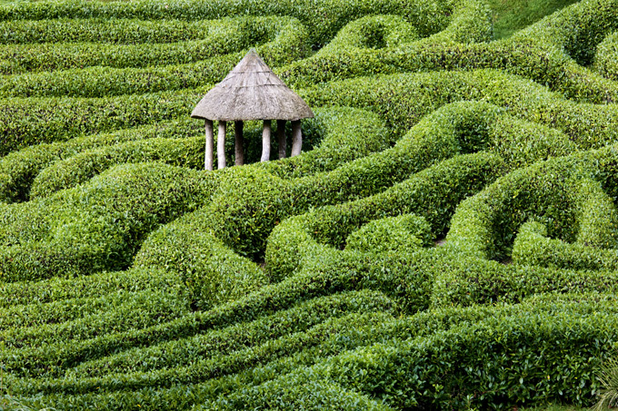 Laurel-maze-at-Glendurgan,-©National-Trust-Images-Andrew-Butler-1