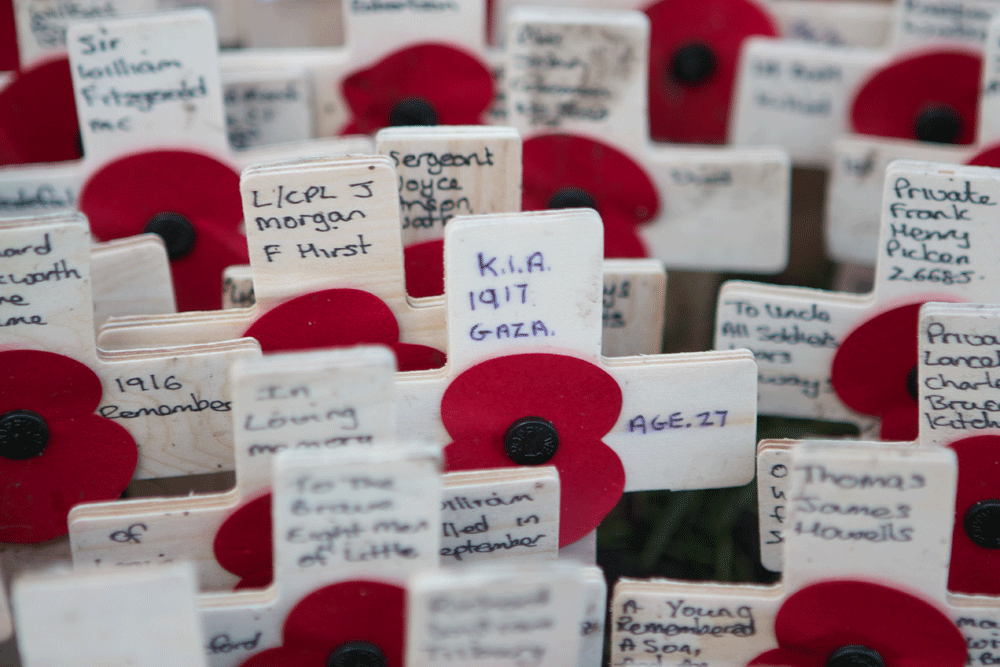 Memorial poppies, Westminster Abbey, November 2013