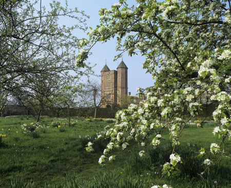 A view of the Orchard looking through the branches of a blossoming tree towards the Elizabethan Tower at Sissinghurst Castle Garden, Cranbrook, Kent