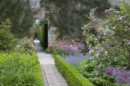 Narrow paved path bordered by neat hedging in the Rose Garden in June at Sissinghurst Castle Garden, near Cranbrook, Kent