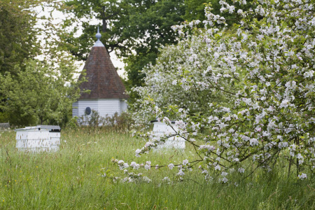 Beehives and trees in blossom in the Orchard at Sissinghurst Castle Garden, Kent