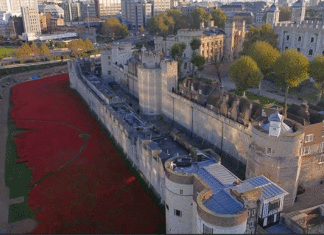 Tower-of-London-poppies