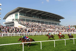 Racing at Epsom