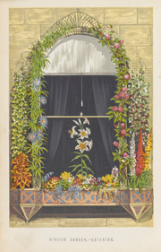 The New Practical Window Gardener, by John R Mollison, 1877