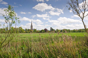 Salisbury meadows