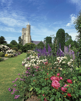 flowers kent garden cantebury poppies castle anne boleyn garden goodnestone sunny sky