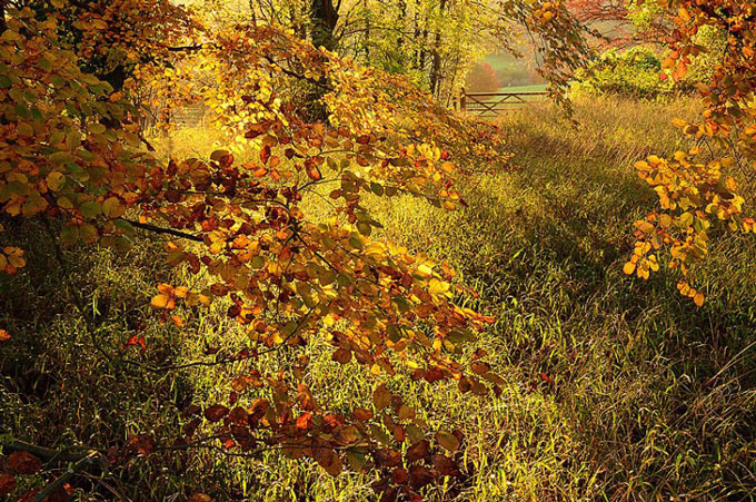 landscape-autumn_2707674k