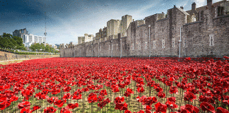 Tower of London, poppies