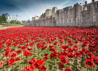 Tower of London, poppies