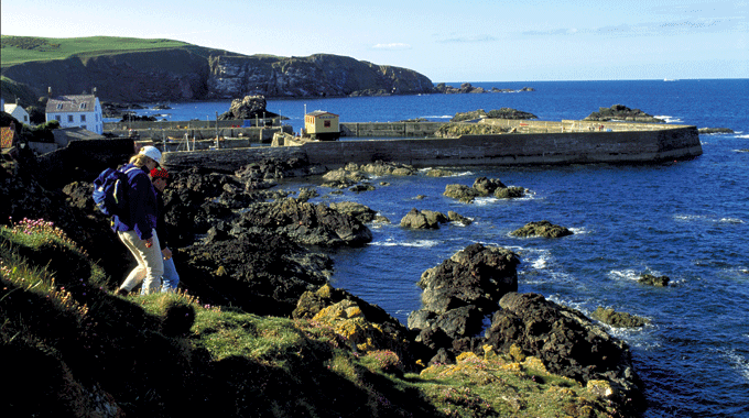 Harbour at St Abbs Head