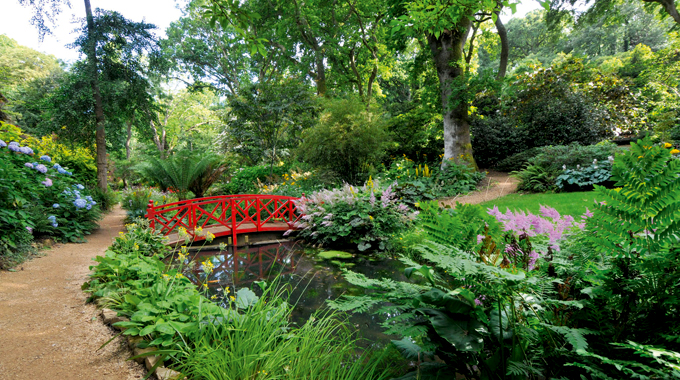 Abbotsbury sub-tropical garden